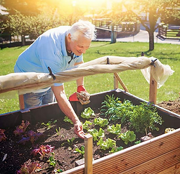 potager