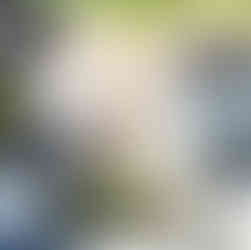 Overhead view of schoolyard with diverse buildings and landscaping features. FairmeadSchool