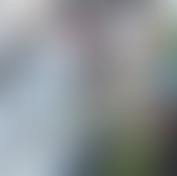 Colorful painted lids mobile hanging over some seedlings in a greenhouse.