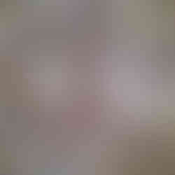 Wooden structure roof with visible beams and supporting poles from below view