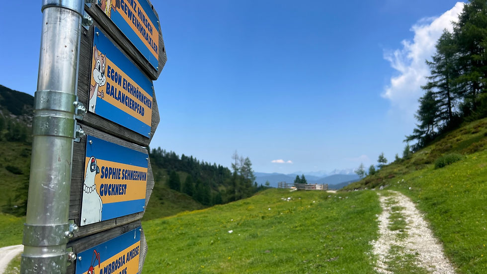 Aussicht vom Arche Gipfel auf Dachstein und Hochkönig