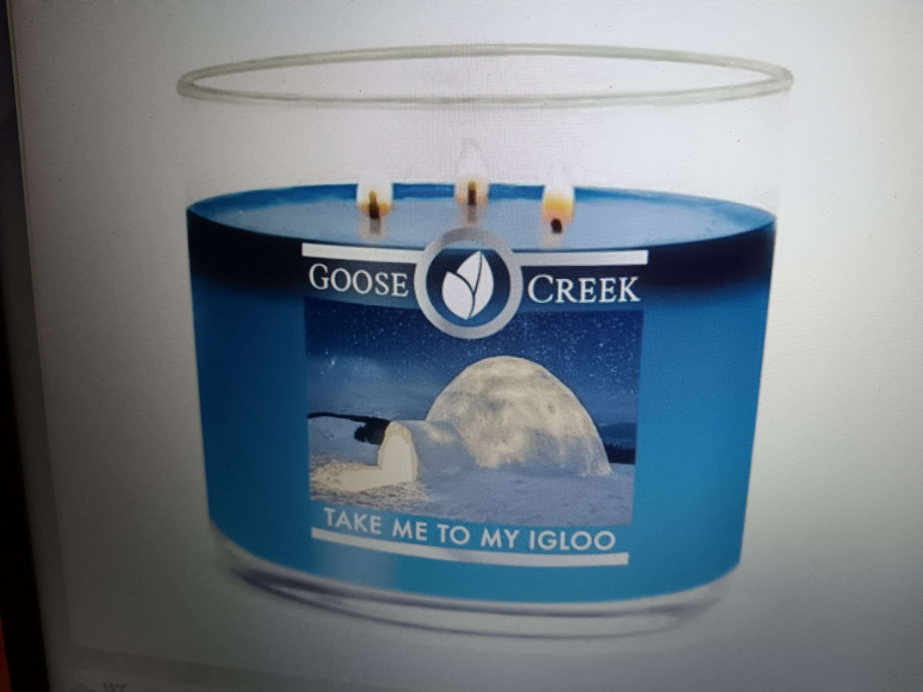 Kerze Take me to my Igloo