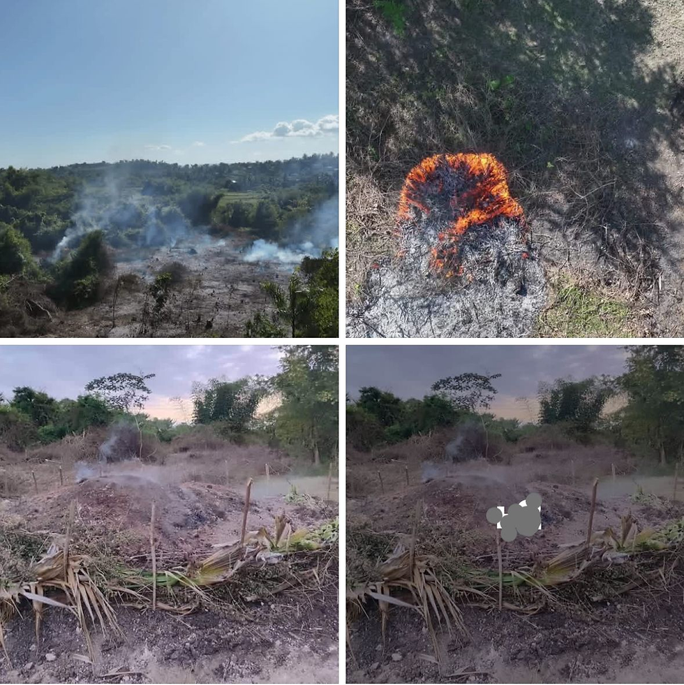 Vandalisme au Jardin botanique des Cayes : le Ministère de l’Environnement réagit fermement