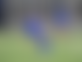 Mondial U17 : les Grenadières éliminées après une lourde défaite