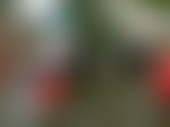 Ouragan Milton : 4 morts et plus de 3,1 millions de foyers sans électricité en Floride