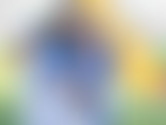 Le gouvernement célèbre une sélection U-17 qui honore la Nation