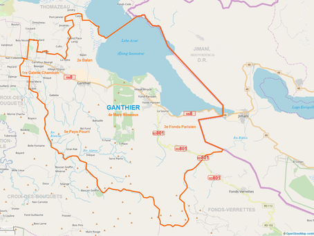 Ganthier: La RD n'a aucun rapport selon lequel des gangs se seraient approchés de la frontière, affirme Díaz Morfa