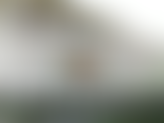 Jean-Denis : les États-Unis condamnent les attaques et réaffirment leur soutien sécuritaire à Haïti