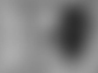 L’ambassade de France exprime sa profonde émotion après l’annonce du décès de l’ingénieur-agronome Eliassaint Magloire