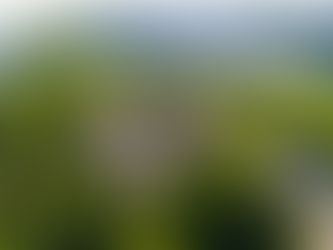 Le fort Ticonderoga, symbole de la Révolution américaine, abrite une vaste collection d’artillerie provenant d’Haïti