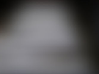 Drame à Seguin: le rapport avance la thèse d'une intoxication au monoxyde de carbone