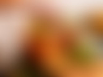 États-Unis : comment la dinde s’est imposée à Thanksgiving