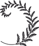 Caro_Logo_RGB_FARN_BEL.png
