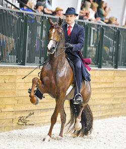 Alice In Thunderland