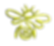 bees-verde-foil_edited.png