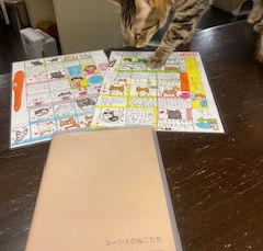 3月16日のブログ☆ミーシス新聞！