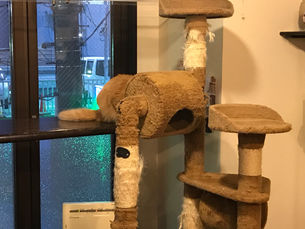 4月22日(水)のブログ