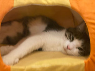 10月8日(木)のブログ