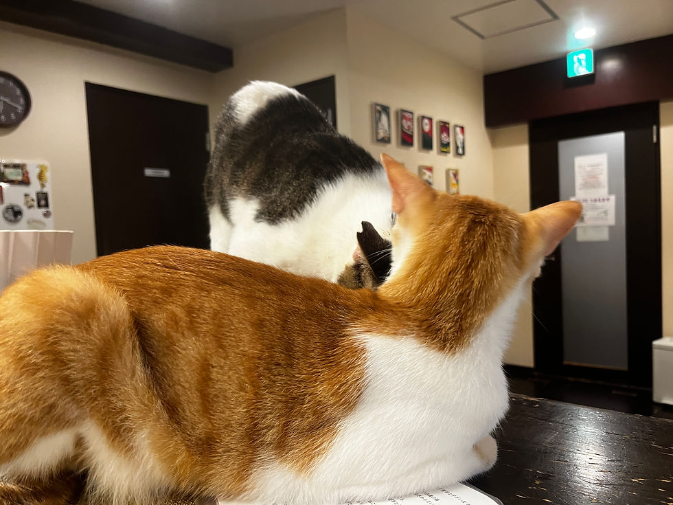 ごめんね。 いいよ。