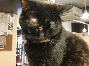 12月25日（水曜日）のブログ