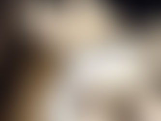 10月29日(木)　ミーシスVersion　ねこの気持ち①