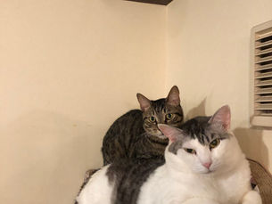 ブログお休みします7月16日(木)