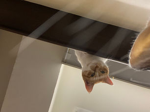 4月10日（金曜日）のブログ