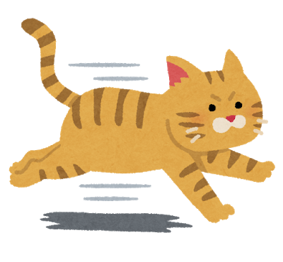 ジャック ♂