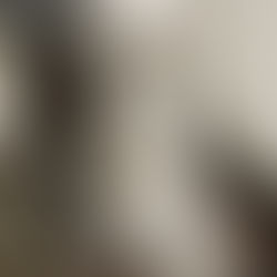 12月19日㈯のブログ