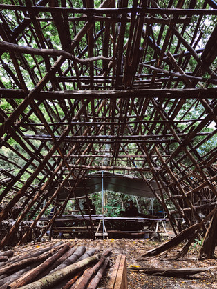 Details in the house building project. Native Hawaiian house. Kauhale