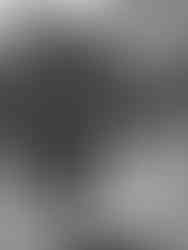 Editorial-Style Couple’s Portrait Against Spanish Architecture. A clean and elegant wedding photo showcasing natural connection, soft lighting, and classic Santa Barbara architectural textures.