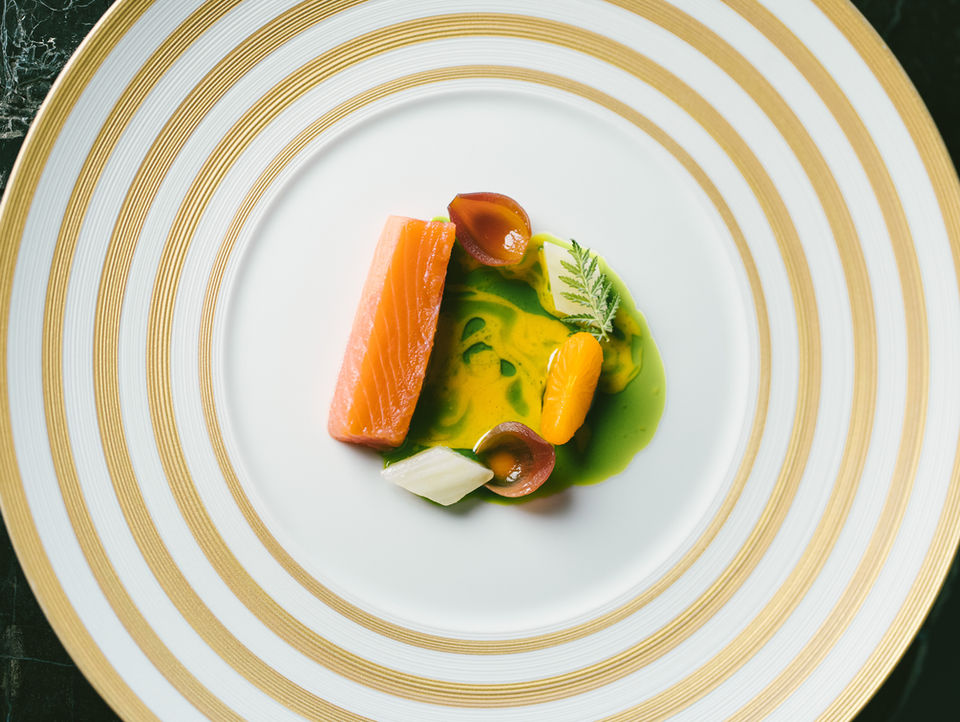 Colorful salmon fillet with vegetable medley and duo of sauces artfully plated in editorial style