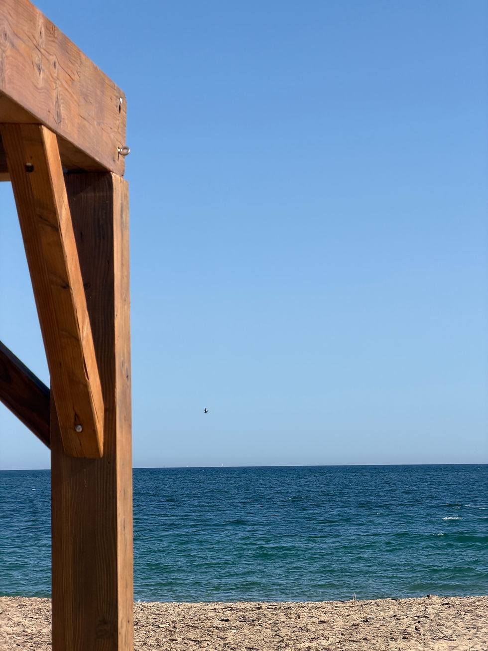 RESTAURANT SALINS HYERES