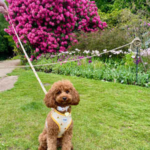 Minnie modelling the Sunny Days range