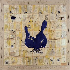 Oignon bleu