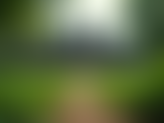 Teachings of Ancient Wisdom: Embracing Timeless Truths in Our Modern World