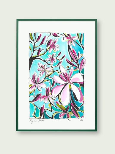 Watercolour and ink illustration of Magnolia blossom against a blue sky