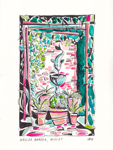 Walled garden water feature illustration - RHS Wisley