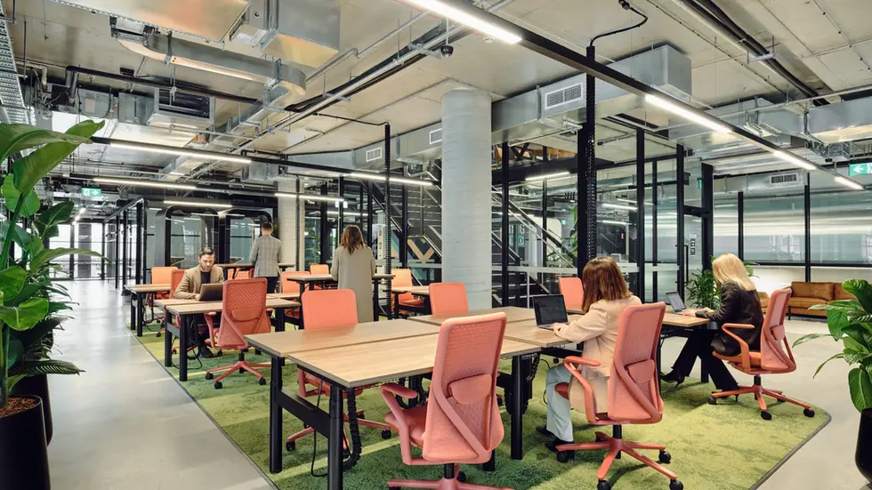 Oficinas Flexibles En Paraguay