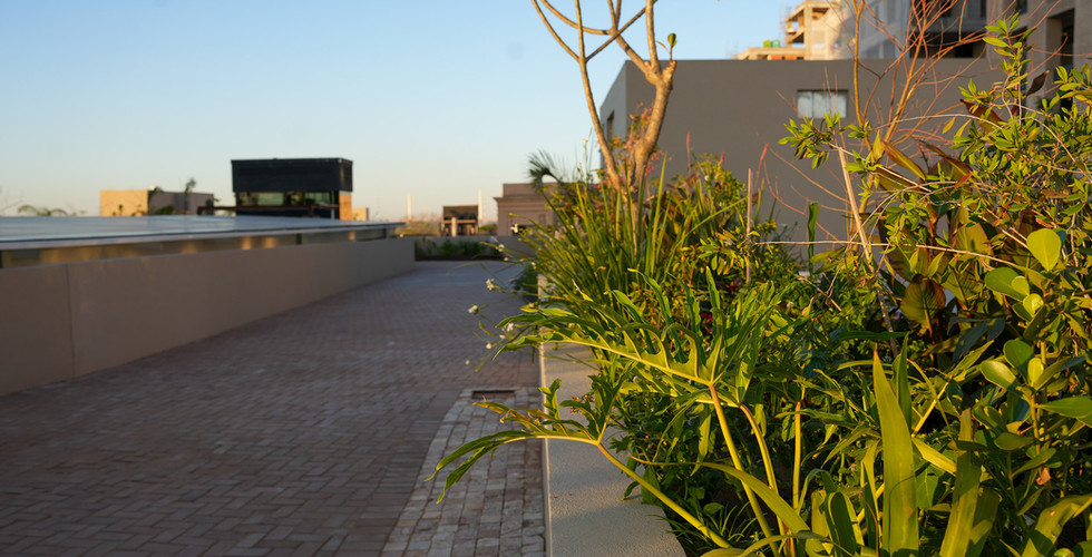 Distrito Perseverancia