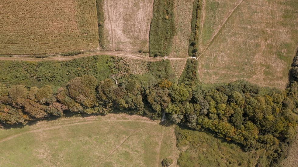 Finca, Padrón, Matrícula y Cuenta Corriente Catastral en Paraguay