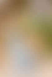 Paraguay Sotheby’s International Realty