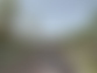 La Transformación del Norte Metropolitano: Distrito Norte y la Visión de Comunidad de Aquadelta