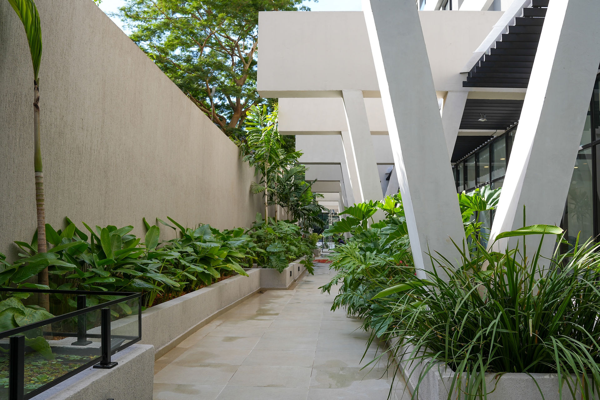 España Las Mercedes lobby