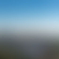 Artigas mejoramiento