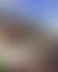 PASEO BOQUERON TERRAZA