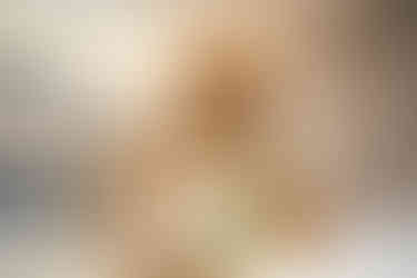 VIVO VILLA AURELIA DEPARTAMENTOS