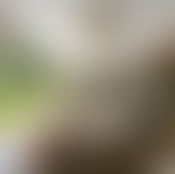 Mercado De Residencias De Lujo En Asunción