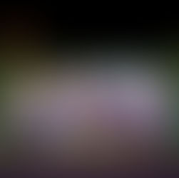 Magnolia Ciudad del Este