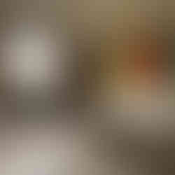 Malibu Terraces Room